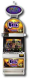Cats Slot Machine at Land Based Casinos